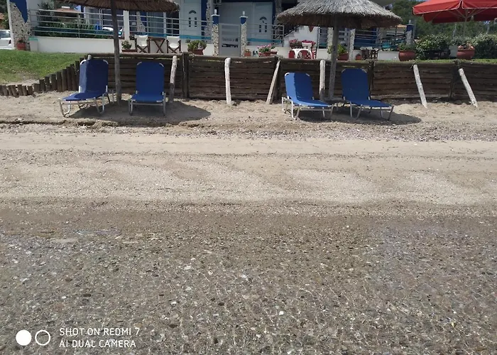 Apartament Elena