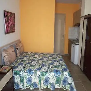Apartamento Elena *